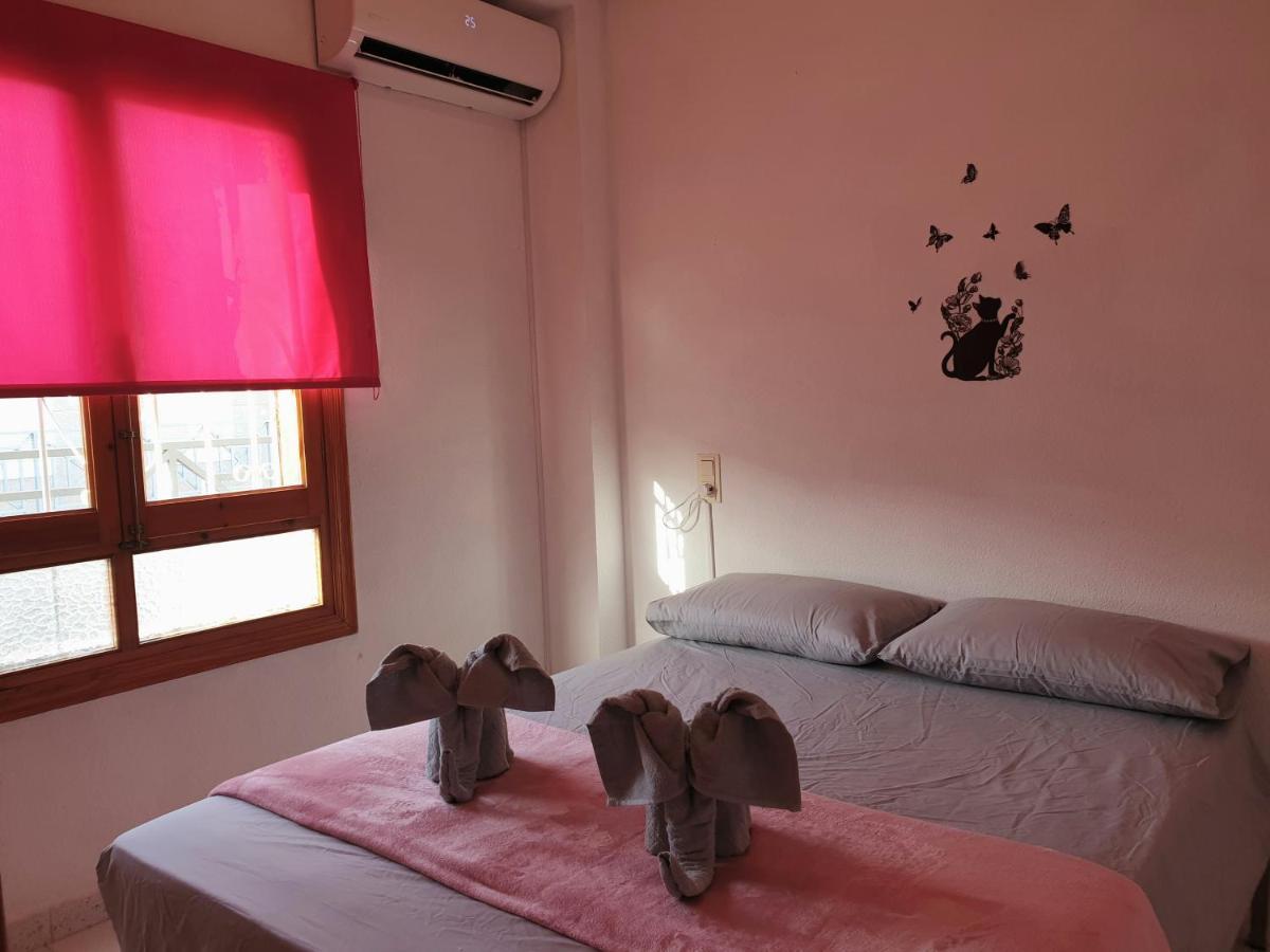 Penthouse Residencial Virginia Lejlighed Torrevieja Eksteriør billede